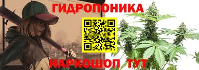 PSILOCYBIN Дубна