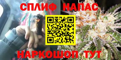 PSILOCYBIN Дубна