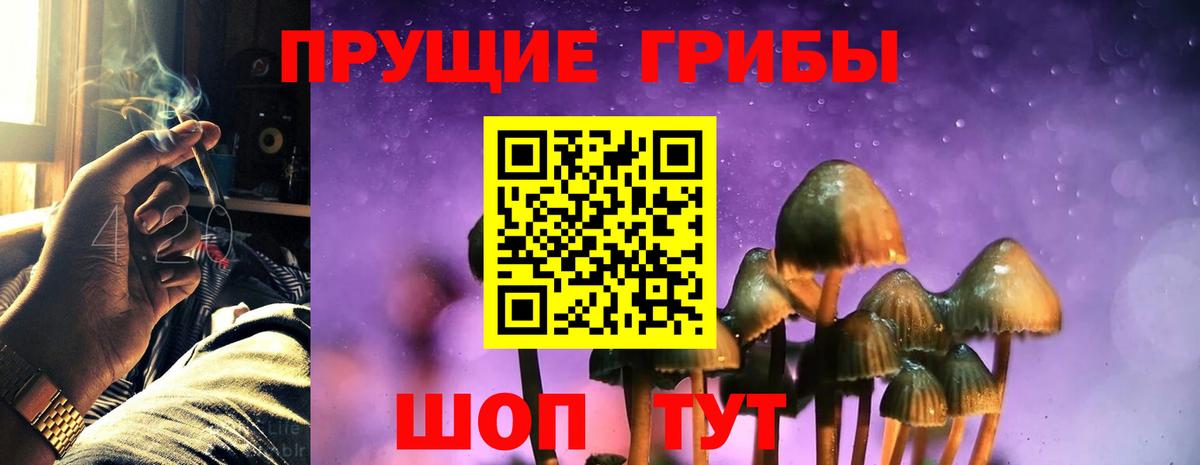 Псилоцибиновые грибы Magic Shrooms Находка