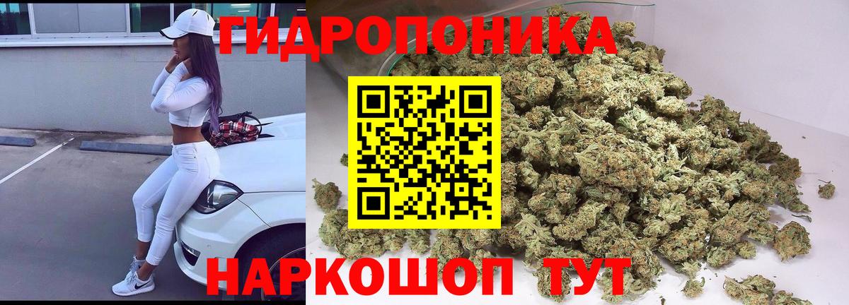 Бошки марихуана SATIVA & INDICA  Конопля White Widow  МАРИХУАНА VHQ  Вход с VPN  Находка  Конопля Amnesia 
